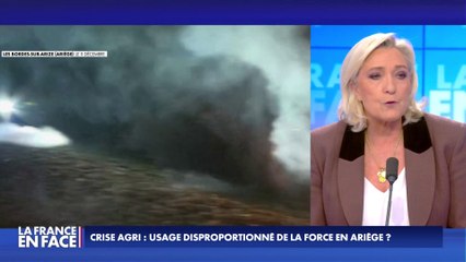 Marine Le Pen : «L'ultragauche s'infiltre partout où elle le peut et pourrit l'intégralité»