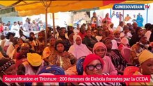 Saponification et Teinture : 200 Femmes de Dabola formées par la CCDA