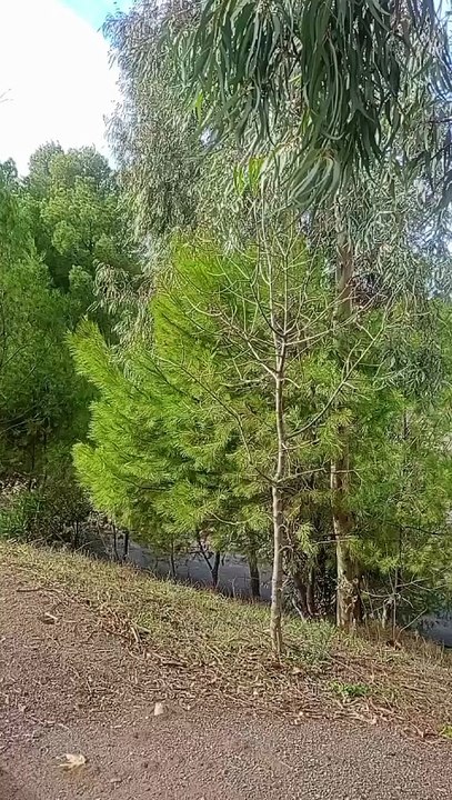 عن الأعمى و البصير