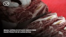 Brasil supera os Estados Unidos como maior produtor de carne bovina