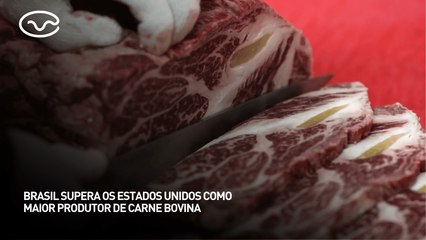 Brasil supera os Estados Unidos como maior produtor de carne bovina