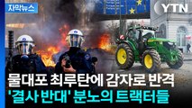 [자막뉴스] 유럽 전역에서 총집결...분노한 농민에 '초긴장' / YTN