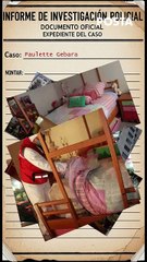 Caso Paulette Gebara Farah: la muerte que conmocionó a México y dejó preguntas sin resolver