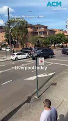 Armed police detain group involved with 'potential violent act' in Sydney