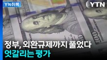 잡히지 않는 환율에 빗장 푼 정부...엇갈리는 평가 [굿모닝경제]  / YTN