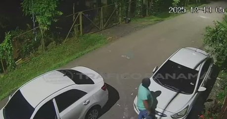 En diciembre se han reportado 18 las denuncias por robo y hurto de vehículos