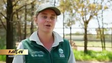 Taronga: Who’s Who In The Zoo - Season 6 Episode 7 - Emu Rescue