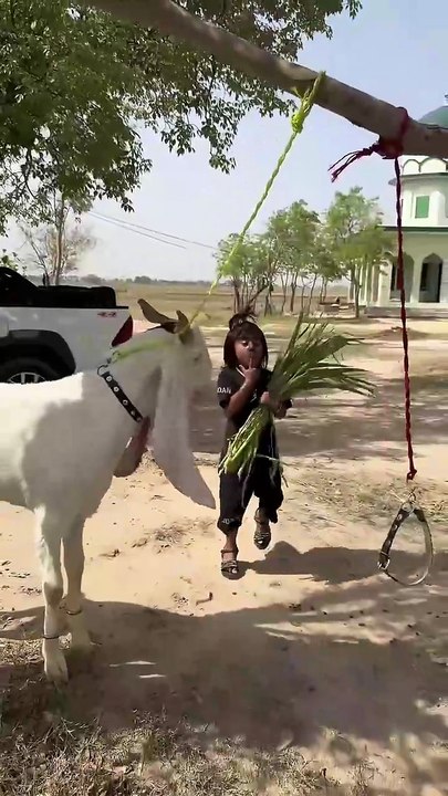 Dua ka dusra bakara kaha gya #youtuber #youtubeshorts #unfrez