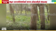കണ്ണൂർ അയ്യങ്കുന്നിലിറങ്ങിയ കാട്ടാനയെ തുരത്താനുള്ള ശ്രമങ്ങൾ താൽക്കാലികമായി അവസാനിപ്പിച്ചു