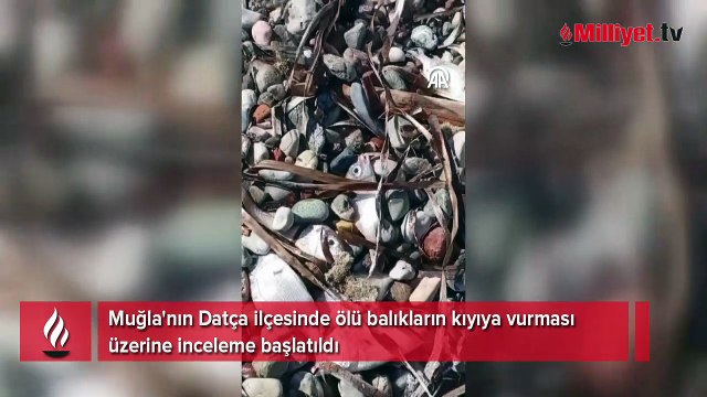Gözde turizm beldesinde tedirgin eden görüntü! Ekipler inceleme başlattı