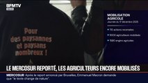 Colère agricole: malgré le report de la signature du Mercosur à janvier, la FNSEA appelle ses adhérents à rester mobilisés
