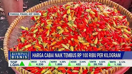 Jelang Nataru, Harga Cabai Melambung hingga Rp100 Ribu per Kilogram