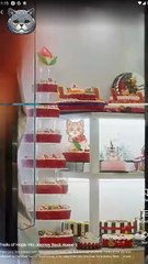 Trails of Hope: His Journey Back Home - Full Movies English Sub