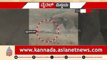 ಆನೆಯನ್ನು ಕೆಣಕಿ ಪ್ರಾಣ ಕಳ್ಕೊಂಡ..!ಸೆಲ್ಫಿ ಕ್ಲಿಕ್ಕಿಸಲು ಹೋದವನನ್ನ ತುಳಿದು ಕೊಂದ ಆನೆ