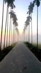 Beautiful nature views l amazing nature videos l nature channel