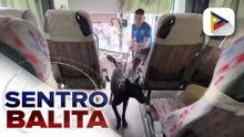 LTO, nag-deploy na rin ng K-9 units para sa pinaigting na operasyon lalo na ngayong holiday season