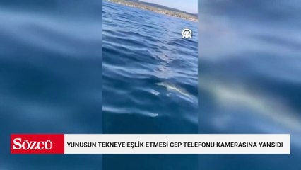 Yunusun tekneye eşlik etmesi cep telefonu kamerasına yansıdı