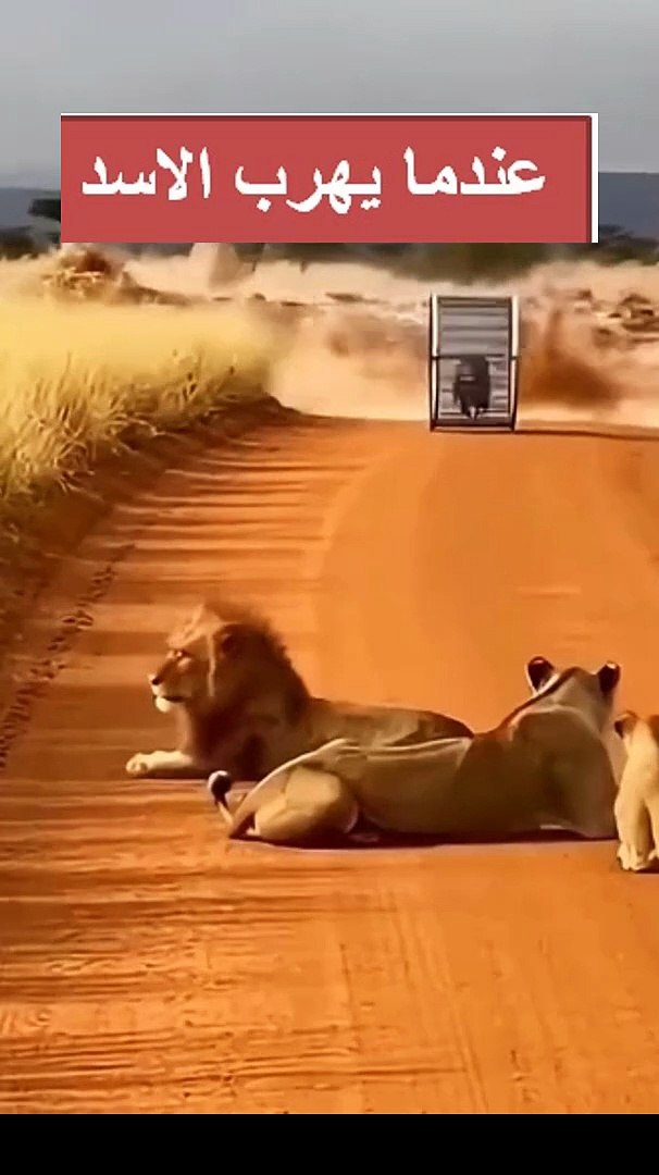 ⁣Very funny video / Very funny pranks / Shorts / Funny Videos 2026