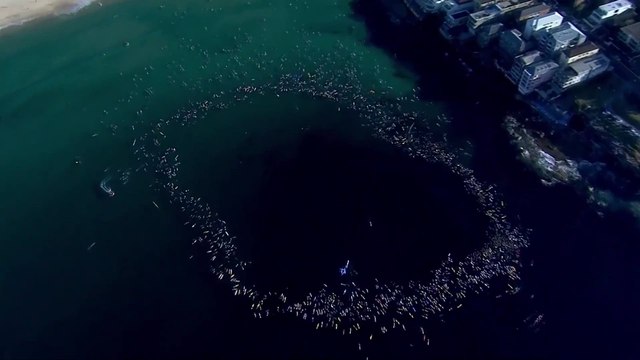 Hundreds of surfers and swimmers paddle out in honour of Bondi victims