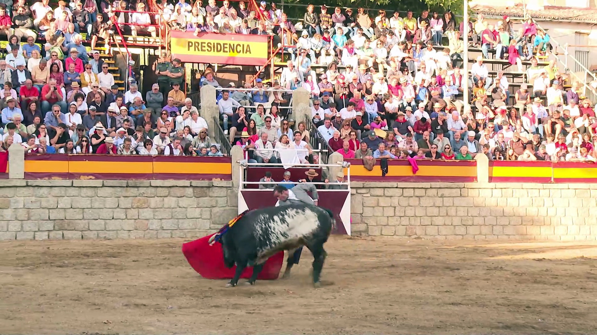 Festejos de verano con reportajes de Salamanca, Riaza, Tordesillas, Burgohondo, Logroño, entre otros