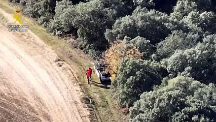 Detenido un hombre por quebrantar una orden de alejamiento