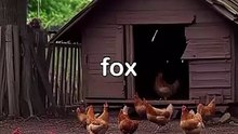 The story of hungry fox