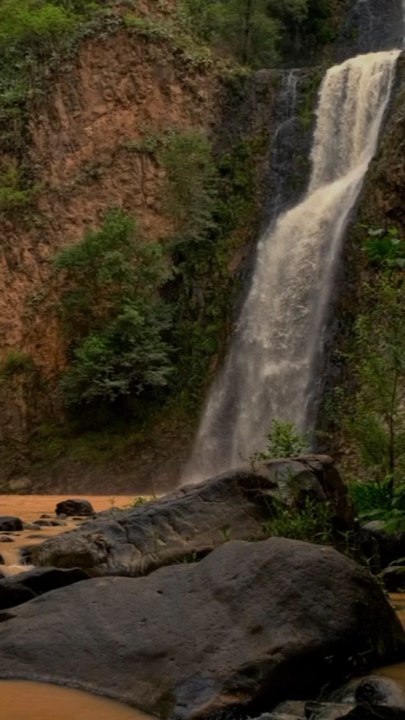سورہ یس