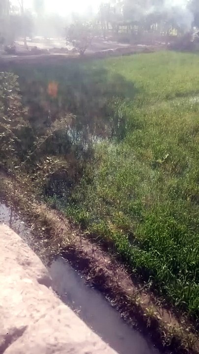 VID_20251219_140738