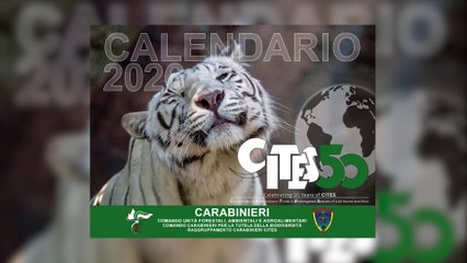 Carabinieri CITES, 50 anni di tutela della biodiversità globale