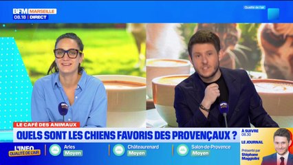 Bonjour Marseille du vendredi 19 décembre 2025