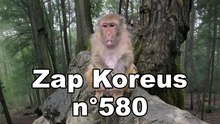 Zap Koreus n°580