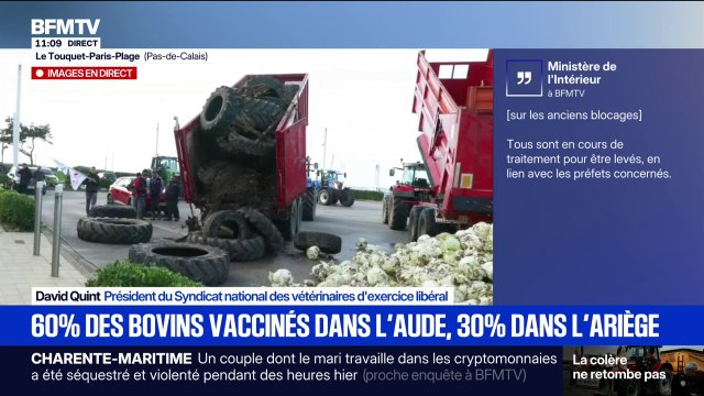 Vaccination des bovins: Des vétérinaires qui s'étaient portés volontaire dans l'Ariège ont été bloqués par les barrages , selon le président du syndicat des vétérinaires libéraux