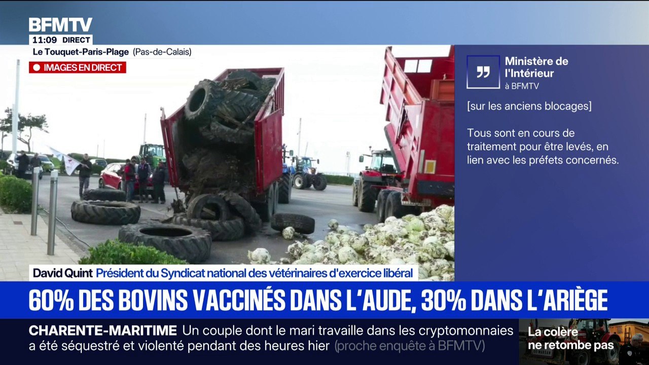 Vaccination des bovins: "Des vétérinaires qui s'étaient portés volontaire dans l'Ariège ont été bloqués par les barrages", selon le président du syndicat des vétérinaires libéraux