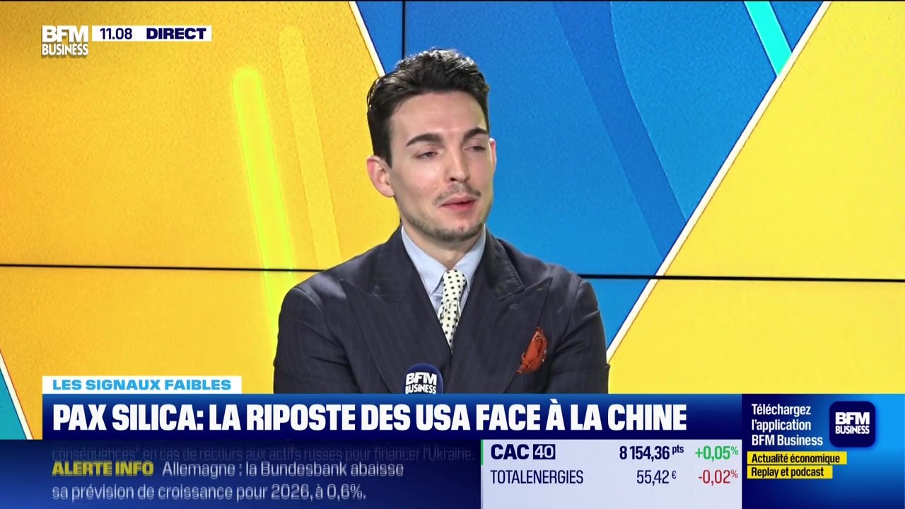 Les signaux faibles - L'Allemagne exclue des terres rares chinoises - 19/12