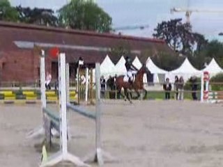 Charlotte Derby CSO Jardy