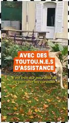 « On dit qu’on est maitre d’un chien, mais c’est vraiment plus que ça. Pour moi c’est de l’égalité entre ma chienne et moi. » Ophélie, non-voyante, vit chaque jour avec sa chienne Taïga, qui l’accompagne partout et lui permet de se déplacer en confiance.
