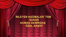Behiye  AKSOY - PİŞMAN OLURDA BİRGÜN DÖNERSEN BANA GERİ