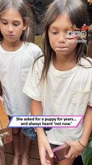 Girl Overwhelmed With Emotion After Receiving Dream Puppy Gift|| Heartsome 💖