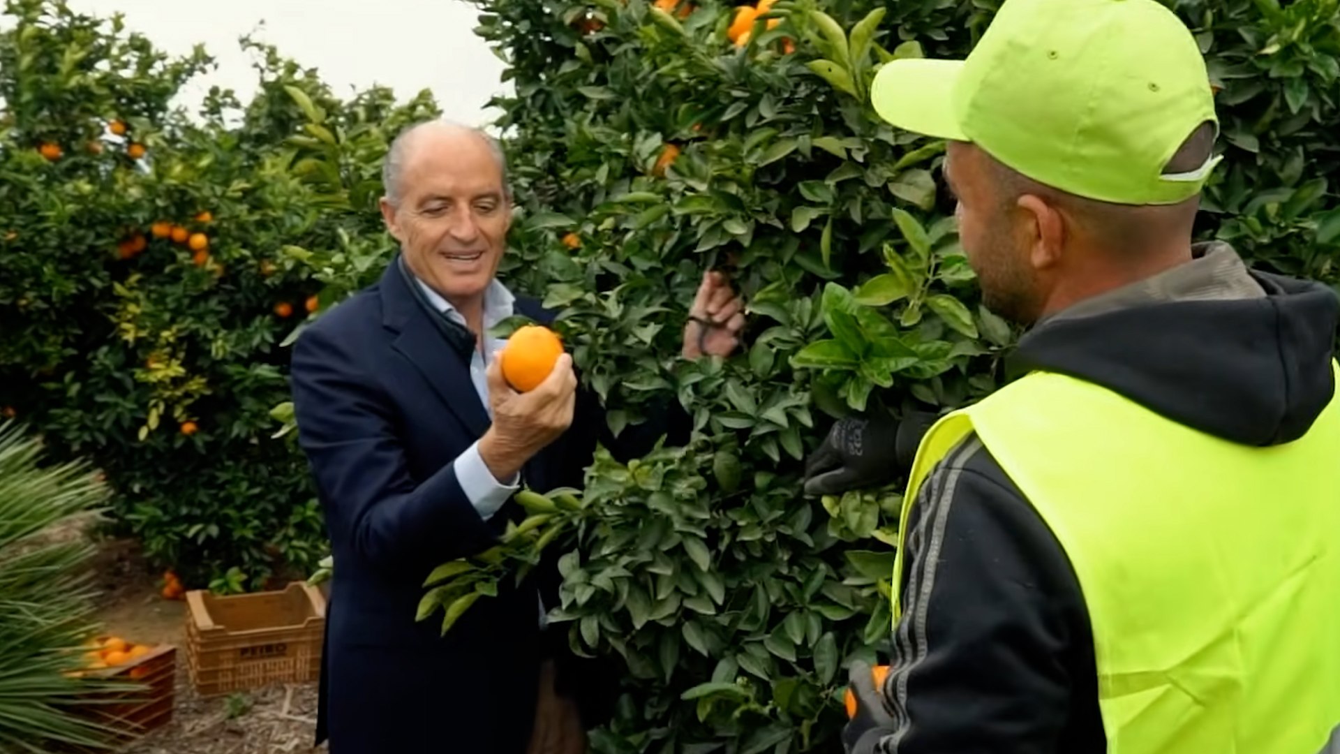 Pasamos un d�a con Francisco Camps en Valencia, recorriendo algunos de los escenarios que marcaron su etapa al frente de la Generalitat y conversando, sin prisas, sobre pol�tica, memoria y tiempo. Lejos del ritmo institucional, Camps se muestra reflexivo y sereno. "Dimit� para que no afectara a las elecciones de Rajoy", afirma.
Durante la jornada, el que fuera elegido tres veces presidente de la Generalitat por mayor�a absoluta insiste en la dureza del cargo y en el desgaste que implica la exposici�n p�blica. "Gobernar supone tomar decisiones constantemente, y no todas gustan", reconoce, al tiempo que reivindica el contexto en el que se produjeron muchas de ellas. Camps evita el ajuste de cuentas y prefiere hablar de aprendizaje: "Con los a�os entiendes mejor lo que hiciste bien y tambi�n lo que no volver�as a hacer".
La conversaci�n transita entre el recuerdo de una Valencia en plena transformaci�n y el presente pol�tico. Camps observa el panorama actual con cautela y cierta melancol�a: "Echo de menos una pol�tica m�s centrada en proyectos y menos en la confrontaci�n". M�s que una reivindicaci�n, el encuentro deja el retrato de un dirigente que revisa su trayectoria desde la distancia, consciente de que la historia pol�tica siempre se escribe con matices. 
Camps huye del relato victimista, o del pasado. Se refiere a los quince a�os en los juzgados de forma as�ptica. Habla de un documental sobre su vida "de una productora muy importante" que se est� grabando.
or la tarde, en su acto en la Fundaci�n Bancaja, tampoco acude nadie del PP. En su discurso sacude a su partido pero tambi�n lo pone en valor. Quiere presentarse a las elecciones de 2027, que puedan votar en el pr�ximo congreso todos los militantes,