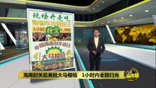 海南封关后首批大马榴梿   引爆大马榴梿疯抢潮