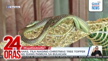 Ahas, tila naging Christmas tree topper ng isang pamilya sa Bulacan | 24 Oras