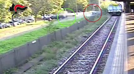 Milano, arrestato per violenza sessuale 19enne