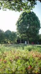 No More Love For Him Chinese Drama ENG SUB - Love lies New Dawn Chinese Drama ENG SUB