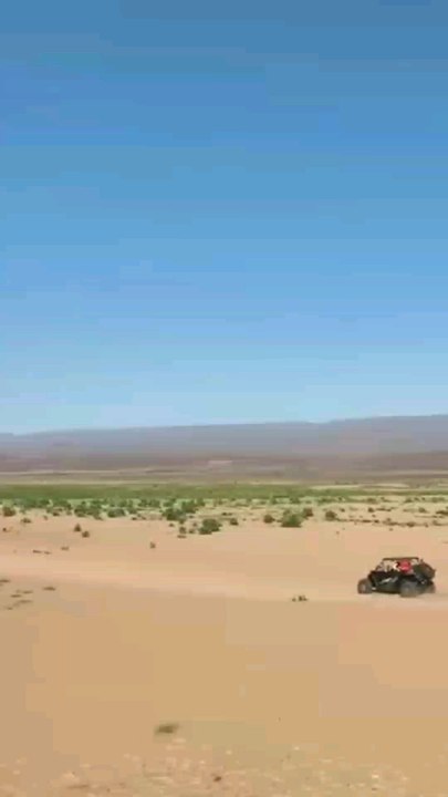 When the desert turns green
