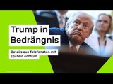Trump in Bedrängnis - Details aus Telefonaten mit Epstein enthüllt