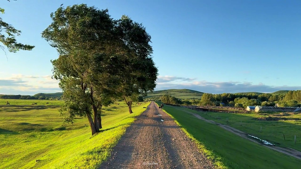 natural view video