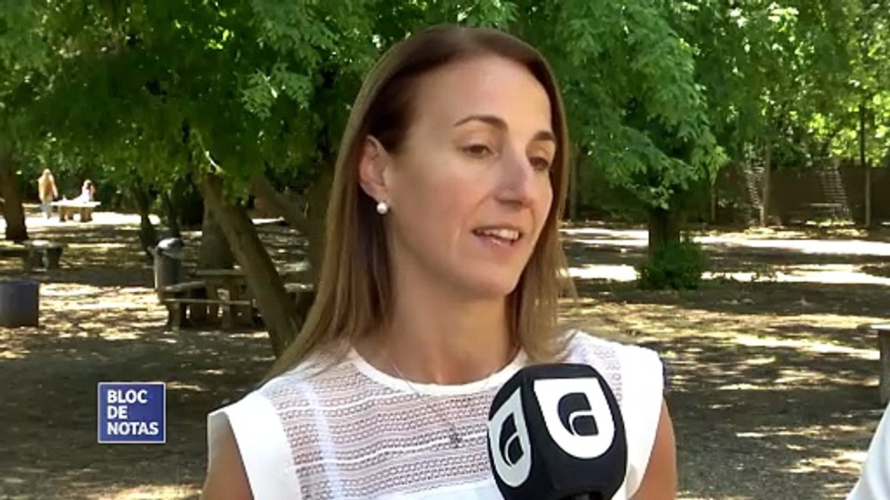 BLOC DE NOTAS SEMANAL -  PRG 329