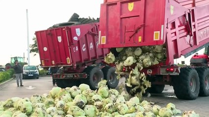 Agricoltori protestano alla seconda residenza di Macron contro l'accordo commerciale UE