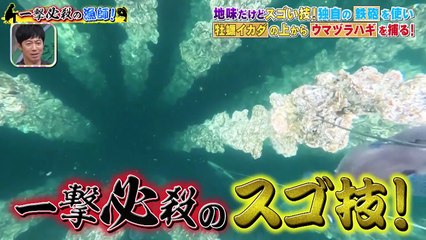 所さんの学校では教えてくれないそこんトコロ！2025年日12月19日 怒涛のスゴ技連発！2時間半SP