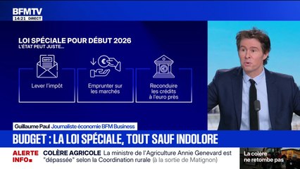 Budget: que se passe-t-il si le gouvernement passe une loi spéciale ?